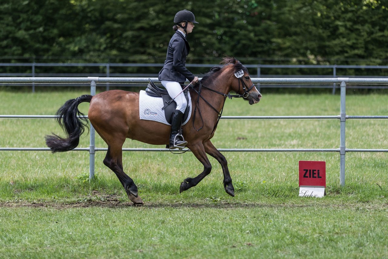 Bild 27 - Pony Akademie Turnier